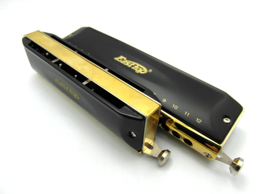 Magnifique Harmonica chromatique 12 trous !