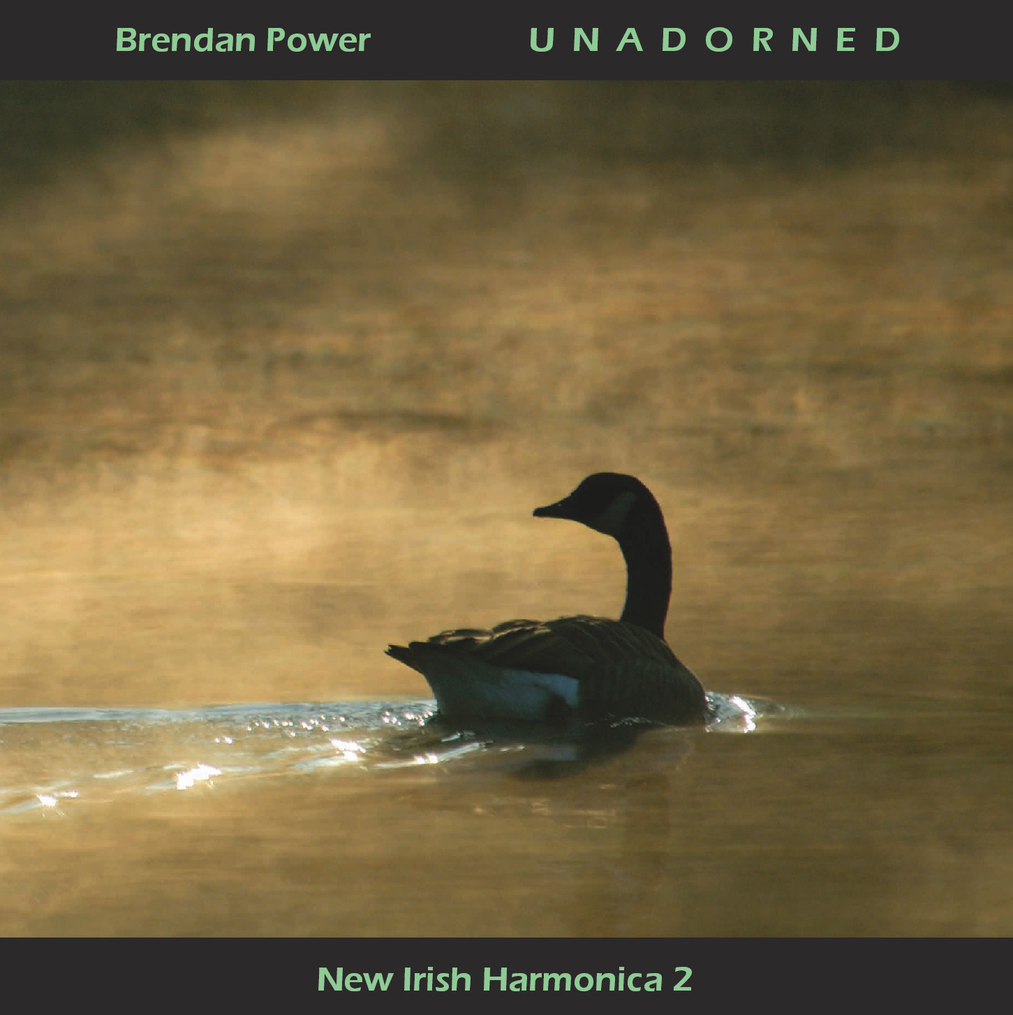 New Irish Harmonica 2 artwork